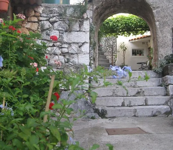 Galovic Πανσιόν